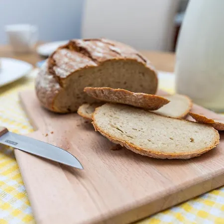 Modern 2bdr In The Center - Free Parking *